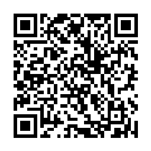 那些在这里上班的医生护士们已经陆续的赶到了诊所二维码生成