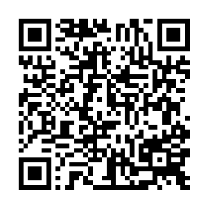 那些地方绿营啥的基本一两个月不动弹一下也是有的二维码生成
