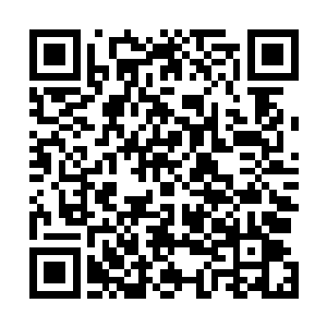 那些坚逾金钢的藤蔓在这些血妖的撕扯啃咬下竟纷纷断裂二维码生成