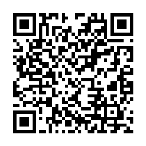 那些城卫军和护卫队的人一个接着一个的被踢飞了出去二维码生成