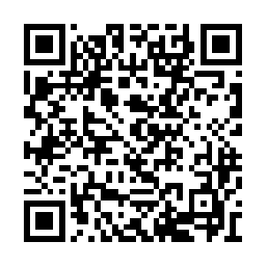 那些堆积的粮食全部被江帆收入了符咒世界之中二维码生成