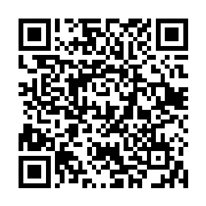 那些墨即离和公子冶的徒弟只是扫了一眼桌子上的法器二维码生成