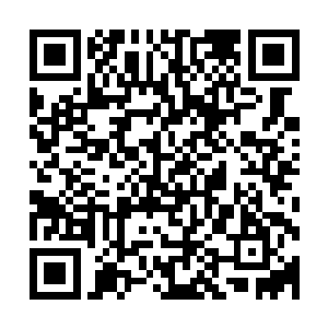 那些外出历练或者在族内闭关的世家子弟也都走出了世家大门二维码生成
