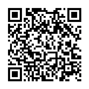 那些外界的老龙们根本不可能为了和自己无关的二维码生成