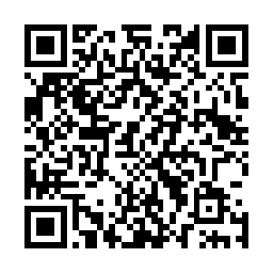 那些大大小小山洞里冒出来的赤发汉子亦默默转身回了洞内二维码生成