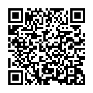 那些天尊凝聚出来的大手就被万千黑色剑气绞杀成了尘埃二维码生成