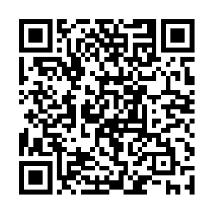 那些天涯商会的高层并没有告诉我这个轿子里面的人二维码生成