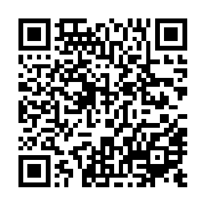 那些天生娇气的地底人也很难在如此恶劣的环境中生存下来二维码生成