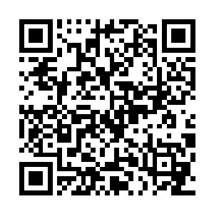 那些失去了神智也失去了灵力的修士最后委顿在地下的一幕二维码生成
