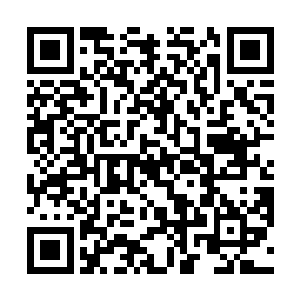 那些奇异的干涉个体都已经变成了各种三维通透的模型二维码生成