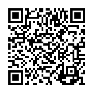 那些妖兽从这声狼哮里听出了强大与拼命的决心二维码生成