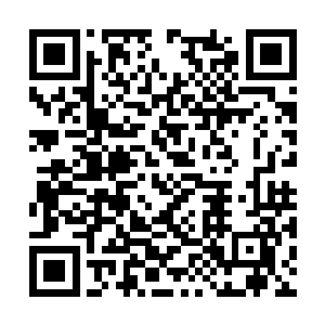 那些妖兽完全就没有任何一个可以抵挡夏天攻击的二维码生成