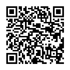 那些始终伴随在赵虎身边护卫的杀手自然也不会沉默不语二维码生成
