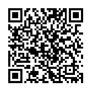 那些威力颇大的榴弹并没有给他们造成太大的伤害二维码生成