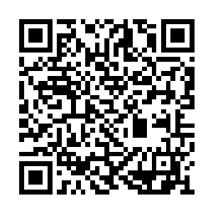 那些字画是在褚玉河他们死去很多年后才出现的二维码生成