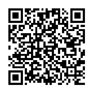 那些守备队员只是愕然地看着海面升起了高达十几米的浪花二维码生成