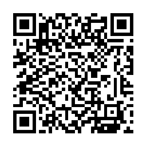 那些实习机甲士以及低级机甲士已经被她剔除了出去二维码生成