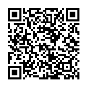 那些实力强大的尸将被钱通和凌霄宗的高手们一一剪除二维码生成