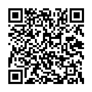 那些家伙刚刚才在自己手上折损了一个周天御史二维码生成