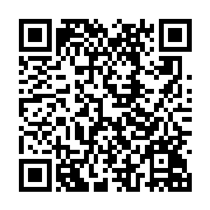 那些寄生在它身上的元始族就像是益生菌和微生物二维码生成