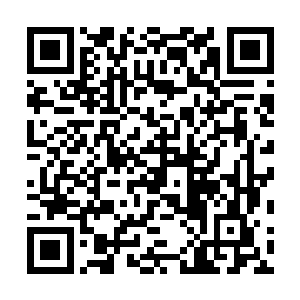 那些密密麻麻燃烧着血焰的紫黑色月刃滴溜溜在半空旋转二维码生成