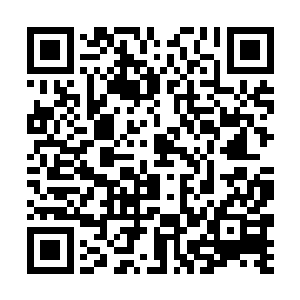 那些对生长环境要求不高的完整植株也已经送入其中二维码生成