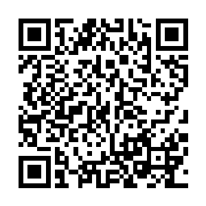 那些将领们一个个也全都是带着自己的手下快速的向前冲去二维码生成
