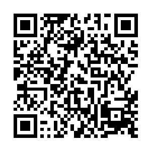 那些小手里面的骨头就好像跟真的一样刺进了我的肉里面二维码生成