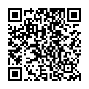 那些小解说员们看白爱月的眼神都是一种炙热的羡慕色彩二维码生成