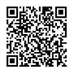 那些小金粒全部都从三楼的走廊飞射到了一楼大厅下面去了二维码生成