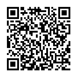 那些岩蚁兽可以通过吞食同类和其他种类的尸体来强化实力二维码生成