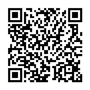 那些巨大的臼齿则可以轻易碾碎野兽甚至许多凶兽的骨头二维码生成