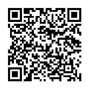 那些已经拥有智慧的人尊期以上的混沌兽一只按兵不动二维码生成