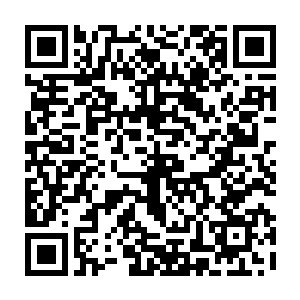 那些平时穆根看都看不出来的穆根草却以更加浓烈的颜色抢入了穆根的眼帘二维码生成
