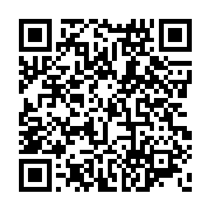 那些年幼的凶兽有一半的可能落在另外人的手里二维码生成