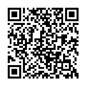 那些年轻的弟子对待自己的眼神一直在发生变化二维码生成