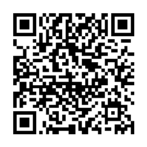 那些彼此之间都拉开距离的钓竿末端却是没有沉入水中二维码生成