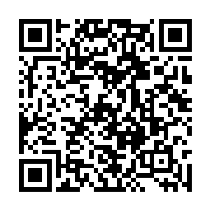 那些往日高高在上的血族一下子变得如丧家之犬般二维码生成