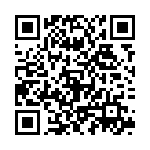 那些待在树上的伏叶虫按说是不会看到她们的二维码生成