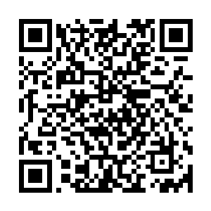 那些忽然出现的黑衣人们也悉数被君无极和无极宫使者们绞杀二维码生成