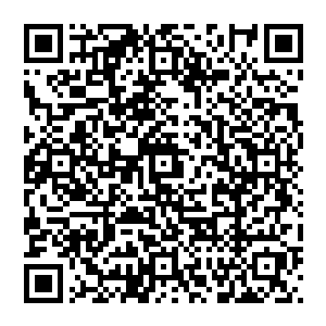 那些或破旧或华丽的建筑物中那些窥探着他们的那些眼睛被流墨墨身周修罗一样的恐怖气息惊的迅速逃逸二维码生成