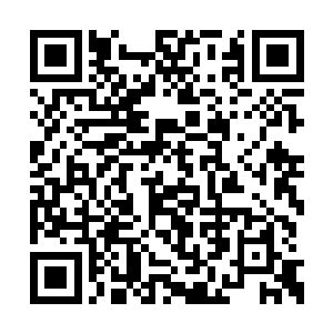 那些或许会有将才的妖帝族们都便捷的跟风起来二维码生成