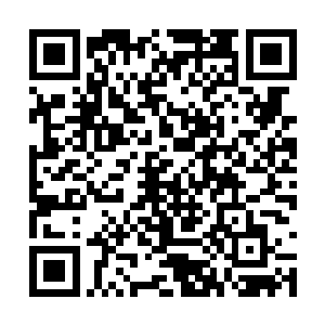 那些所谓小妾们大概也就只能给其提供一点能源吧二维码生成