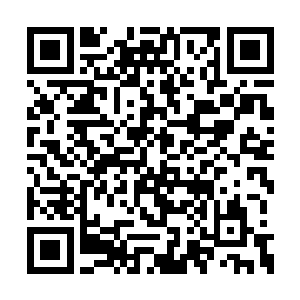 那些所谓的救援队是不是不可能会这么快赶到的二维码生成