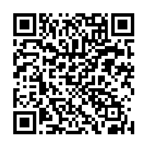 那些所谓的武林高手们带领着自己的弟子想要强行进入云城二维码生成