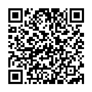 那些手无傅鸡之力的草民杀多了跟割草一样没有快感二维码生成