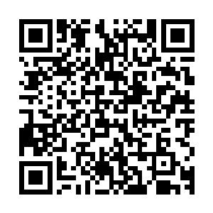 那些抱着必死心态进入胡笳城的蛛网谍子在附近屋顶上纷纷落定二维码生成