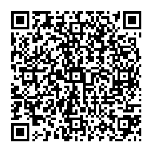 那些抵抗下了一波雷霆的金乌族强者在第二波雷霆落下之后便是有一半也是步了其他族人的后尘二维码生成