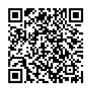 那些敌人的地盘也自然被东子所在的家族给瓜分了二维码生成