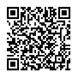那些敌对世家绝对不会等银翼世家慢慢恢复元气二维码生成